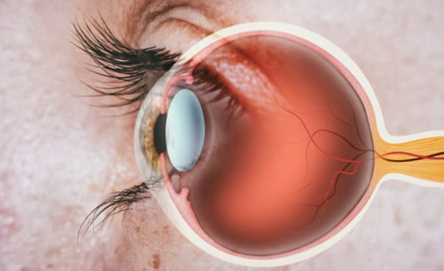 Revitalizing vision: Stem cell solutions unveiled